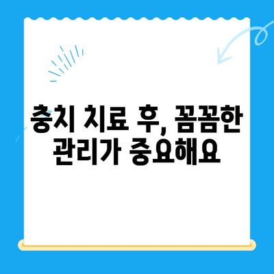 경주 치과 충치 치료 및 관리| 완벽 가이드 | 충치 예방, 치료 방법, 관리 팁