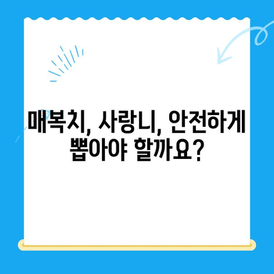 매복치 원위치| 경주 치과에서 안전하고 효과적인 치료 받기 | 매복치, 사랑니, 임플란트, 치과 추천