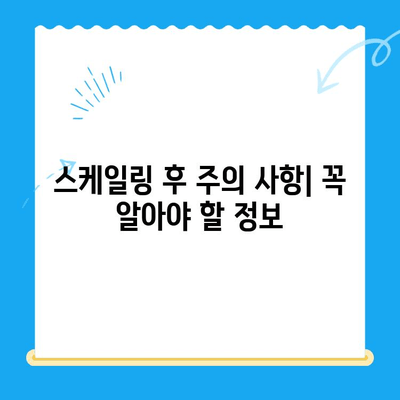 경주 치과 스케일링 가격 & 후속 식사 정보| 꼼꼼하게 알아보기 | 스케일링 비용, 치과 추천, 주의 사항, 식단 가이드