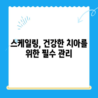 경주 치과 스케일링 가격 & 후속 식사 정보| 꼼꼼하게 알아보기 | 스케일링 비용, 치과 추천, 주의 사항, 식단 가이드