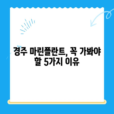 경주에서 마린플란트까지| 꼭 가봐야 할 이유 5가지 | 경주 여행, 마린플란트, 핫플레이스, 추천