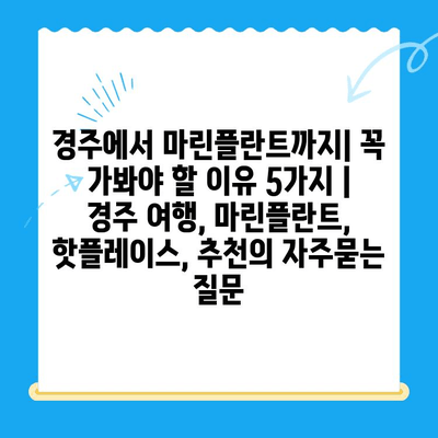 경주에서 마린플란트까지| 꼭 가봐야 할 이유 5가지 | 경주 여행, 마린플란트, 핫플레이스, 추천