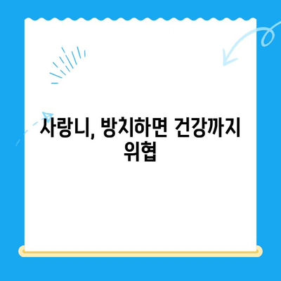 임플란트, 사랑니 치료 시기를 놓치지 마세요! | 치과 진료, 건강 관리, 치아 건강, 놓치면 후회