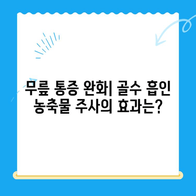 무릎 골수 흡인 농축물 주사| 무릎관절염 치료에 효과적인가요? | 무릎 통증, 관절염, 줄기세포 치료