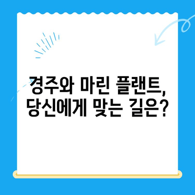 경주에서 마린 플랜트까지? 당신의 선택 이유를 알려드립니다 | 경주, 마린 플랜트, 선택 가이드, 장단점 비교