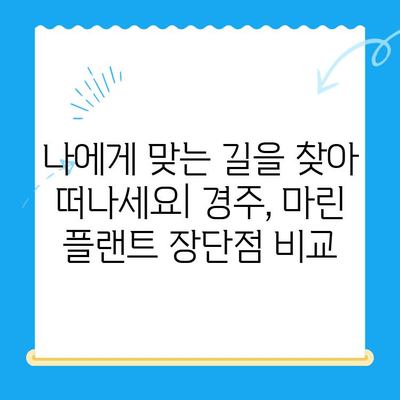 경주에서 마린 플랜트까지? 당신의 선택 이유를 알려드립니다 | 경주, 마린 플랜트, 선택 가이드, 장단점 비교