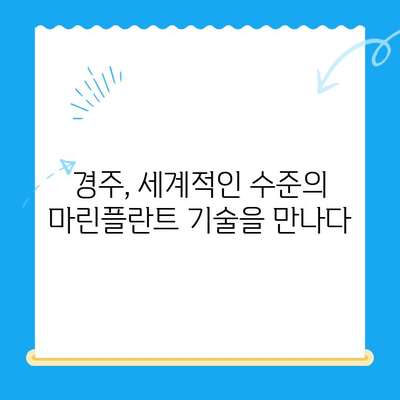 해외에서 경주까지 찾는 마린플란트 수술, 그 이유는? | 마린플란트, 치과, 경주, 해외 환자