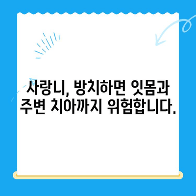 임플란트와 사랑니, 치료 시기를 놓치면? | 치과 치료, 통증, 비용, 주의사항, 건강 관리