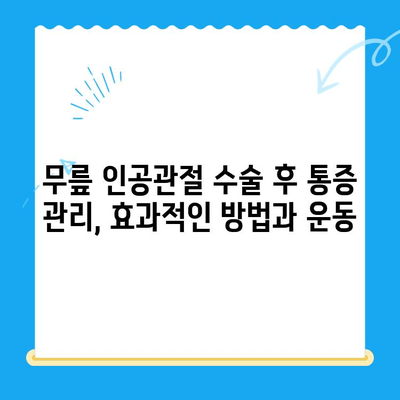 무릎 인공관절 수술 후 재활 성공 가이드| 단계별 계획 & 팁 | 무릎 인공관절, 재활 운동, 회복, 수술 후 관리