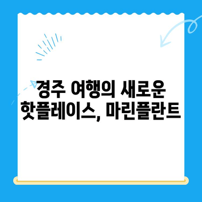 경주에서 마린플란트까지, 꼭 가봐야 할 이유 5가지 | 경주 여행, 마린플란트, 핫플레이스, 추천