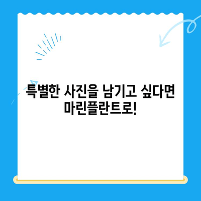 경주에서 마린플란트까지, 꼭 가봐야 할 이유 5가지 | 경주 여행, 마린플란트, 핫플레이스, 추천