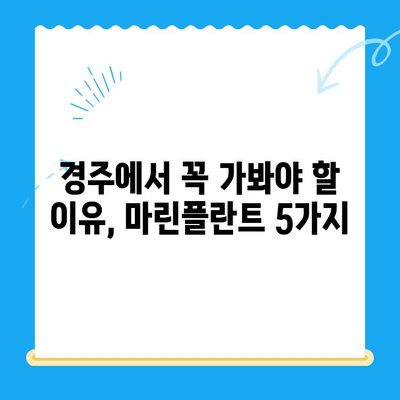 경주에서 마린플란트까지, 꼭 가봐야 할 이유 5가지 | 경주 여행, 마린플란트, 핫플레이스, 추천