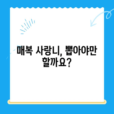 경주 치과 매복치, 본래 자리로 돌려놓는 복원 치료 | 매복 사랑니, 발치, 임플란트, 치아 교정