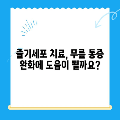 무릎 통증 악화, 줄기세포 주사가 해답일까요? | 무릎 통증, 줄기세포 치료, 통증 완화, 재활