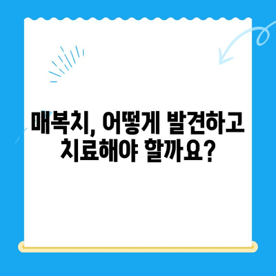 매복치 위치 교정|  성공적인 치아 이동을 위한 모든 것 | 매복치, 치아교정, 치과, 치료