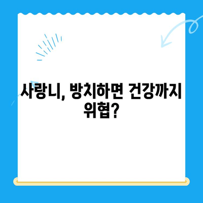 임플란트, 사랑니 치료 놓치면 안 되는 이유| 꼭 알아야 할 5가지 이유 | 치과, 치료, 건강, 관리, 주의사항