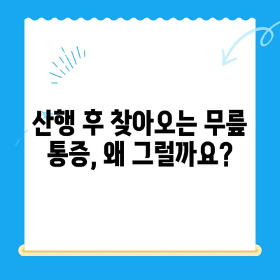 야외 활동 후 찾아오는 무릎 통증, 원인과 해결책 | 등산, 운동, 통증 완화, 예방