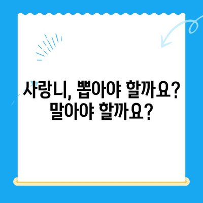 사랑니, 임플란트까지 이어지는 악몽? 놓치면 안 될 사랑니 발치 적기 | 사랑니, 임플란트, 치과, 발치, 치료, 통증