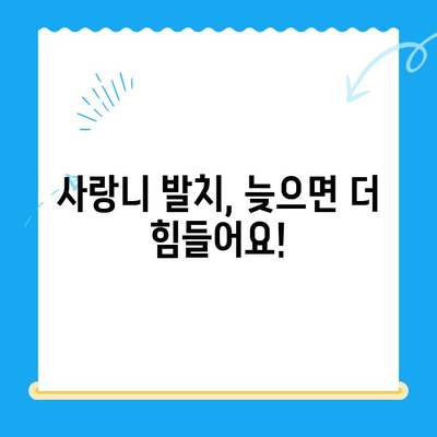 사랑니, 임플란트까지 이어지는 악몽? 놓치면 안 될 사랑니 발치 적기 | 사랑니, 임플란트, 치과, 발치, 치료, 통증