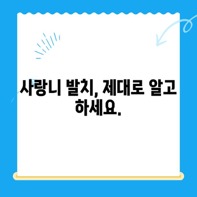 사랑니, 임플란트까지 이어지는 악몽? 놓치면 안 될 사랑니 발치 적기 | 사랑니, 임플란트, 치과, 발치, 치료, 통증