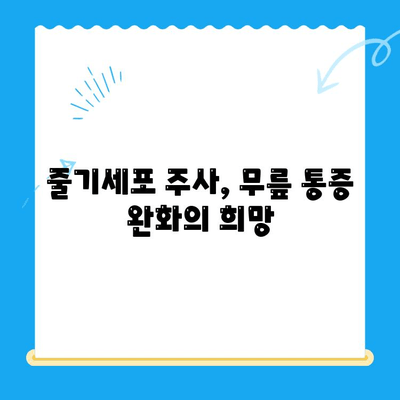 무릎 통증, 줄기세포 주사가 해답? | 무릎 통증 완화, 줄기세포 치료, 관절 통증, 재활