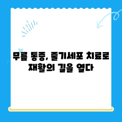 무릎 통증, 줄기세포 주사가 해답? | 무릎 통증 완화, 줄기세포 치료, 관절 통증, 재활