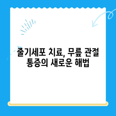 무릎 통증, 줄기세포 주사가 해답? | 무릎 통증 완화, 줄기세포 치료, 관절 통증, 재활