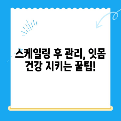 경주 치과 스케일링 후 식사, 언제부터 가능할까요? | 스케일링, 식사, 주의사항, 경주 치과 추천