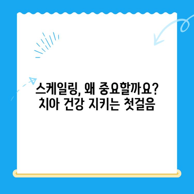 치아 건강 지키는 필수템! 스케일링과 레진 치료 완벽 가이드 | 치아 관리, 건강, 치과