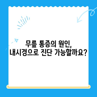 무릎관절 뼈 접촉, 내시경 치료 옵션| 알아야 할 모든 것 | 무릎 통증, 관절 내시경, 치료 방법