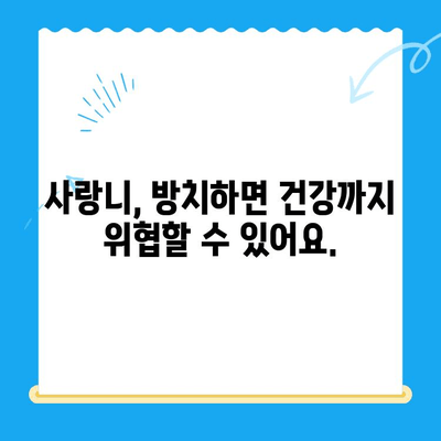 임플란트, 사랑니 치료 망설이지 마세요! 놓치면 후회할 수 있는 이유 | 치과, 치료 시기, 건강, 관리