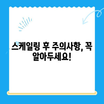 경주 치과 스케일링 비용 & 사후 식사 가능 여부| 꼼꼼하게 알아보기 | 경주 치과, 스케일링 가격, 식사 제한