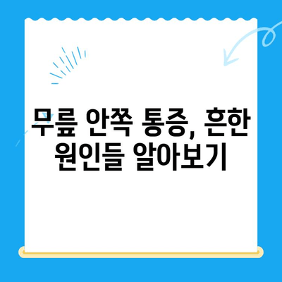 무릎 안쪽 통증, 왜 생길까? 원인과 해결 솔루션 | 무릎 통증, 통증 완화, 운동, 치료