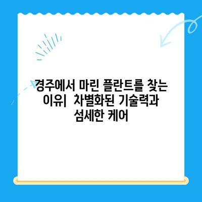 김해 임플란트 치과| 경주에서 마린 플란트를 찾는 이유 | 마린 플란트 장점, 김해 치과 추천