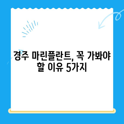 경주에서 마린플란트까지 찾아가는 이유는? | 경주 여행, 마린플란트, 즐길거리, 추천