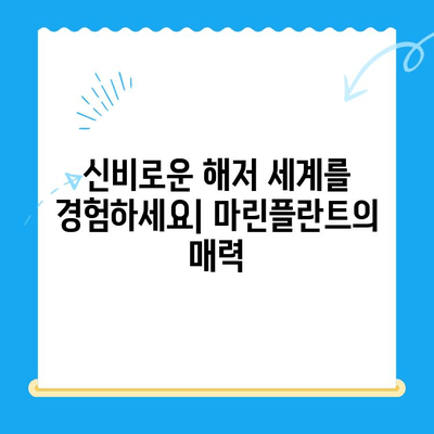 경주에서 마린플란트까지 찾아가는 이유는? | 경주 여행, 마린플란트, 즐길거리, 추천