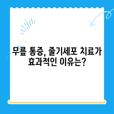 무릎 통증, 줄기세포 치료가 해답일까요? | 무릎 통증, 줄기세포 치료, 관절 재생, 통증 완화
