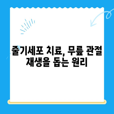 무릎 통증, 줄기세포 치료가 해답일까요? | 무릎 통증, 줄기세포 치료, 관절 재생, 통증 완화
