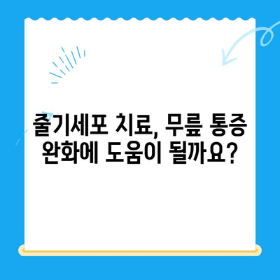 무릎 통증, 줄기세포 치료가 해답일까요? | 무릎 통증, 줄기세포 치료, 관절 재생, 통증 완화