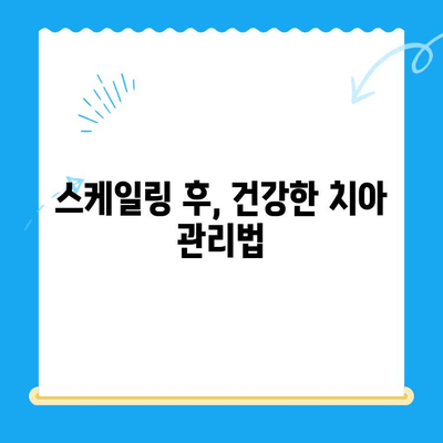 경주 치과 스케일링 비용 & 식사 가능 시기| 알아두면 좋은 정보 | 경주, 치과, 스케일링, 비용, 식사