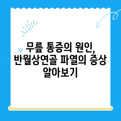 반월상연골 파열| 증상, 치료, 재활, 그리고 당신의 회복 | 운동, 재활 운동, 수술, 예방