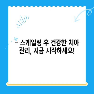 경주 치과 스케일링 가격 & 후속 관리 완벽 가이드 | 치과 추천, 비용 정보, 건강 관리 팁