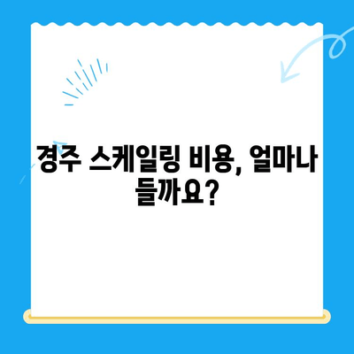 경주 치과 스케일링| 비용 & 식사 가능 시간 완벽 정리 | 경주 치과 추천, 스케일링 후 주의사항