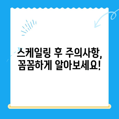 경주 치과 스케일링| 비용 & 식사 가능 시간 완벽 정리 | 경주 치과 추천, 스케일링 후 주의사항