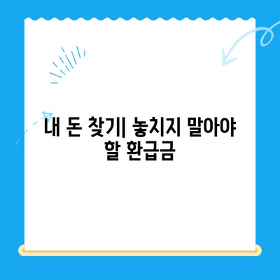 내 돈 어디갔어? 놓치지 말아야 할 환급금 찾는 방법 | 국세, 지방세, 의료비, 통신 미환급금