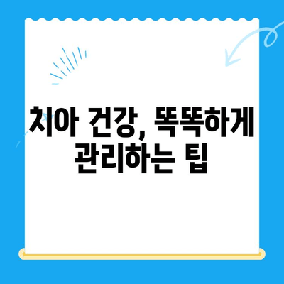 과잉 치료 없는, 나에게 꼭 맞는 치아 치료 찾기 | 치과 선택 가이드, 치료 비용, 치료 방법