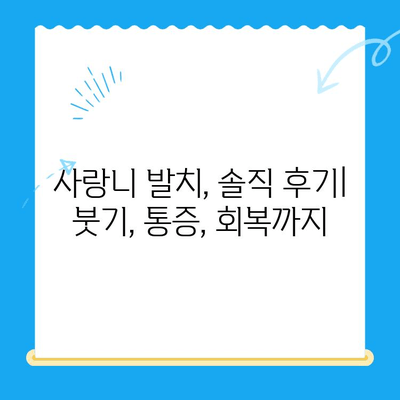 붓고 아픈 어금니, 당산역 치과 사랑니 발치 후기| 솔직한 경험 공유 | 사랑니 통증, 발치 과정, 당산역 치과 추천