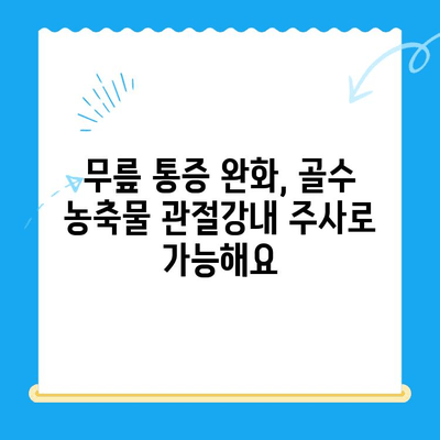 골수 흡인 농축물 관절강내 주사| 무릎 관절염 치료의 새로운 지평 | 무릎 통증 완화, 연골 재생, 골수 농축물, 관절염 치료