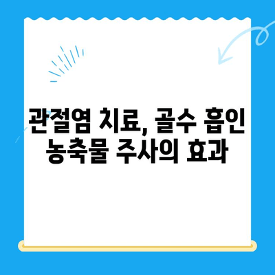 골수 흡인 농축물 관절강내 주사| 무릎 관절염 치료의 새로운 지평 | 무릎 통증 완화, 연골 재생, 골수 농축물, 관절염 치료