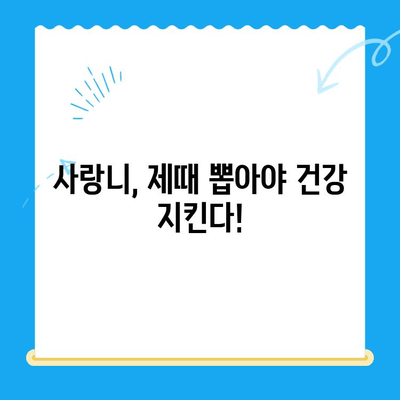 임플란트, 사랑니 치료, 놓치지 말아야 할 적기는 언제일까요? | 치과 치료, 시기, 건강 관리